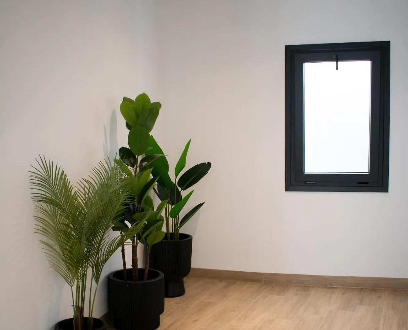 Surya Home Conil De La Frontera Apartment